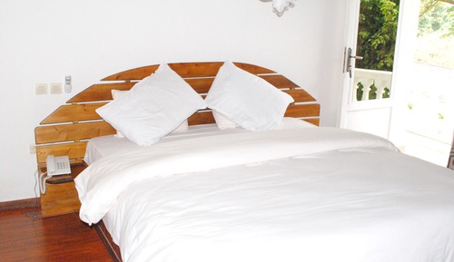 Habitación Deluxe doble, vistas al jardín