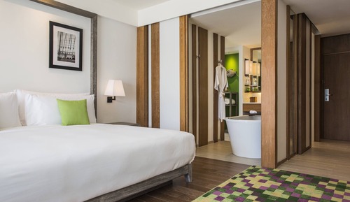 Mountain View Room