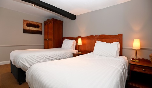 Habitación estándar con 2 camas individuales
