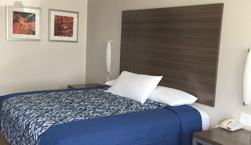 Habitación estándar, 1 cama de matrimonio grande, no fumadores