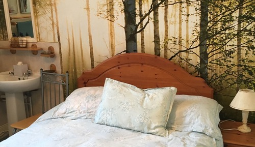 Habitación económica, 1 cama doble