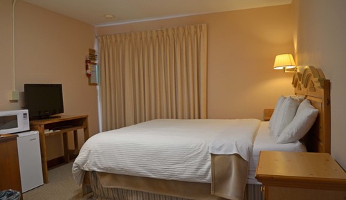 Habitación individual estándar, 1 cama de matrimonio grande, no fumadores