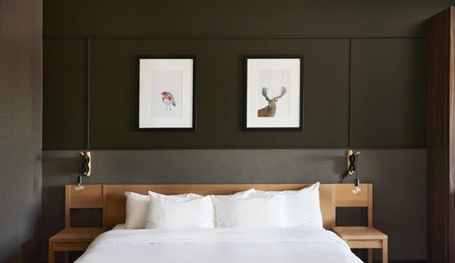 Suite estudio ejecutiva, 1 cama de matrimonio con sofá cama