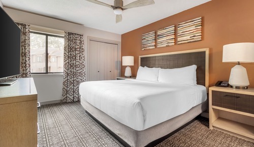 Suite Deluxe, 1 habitación