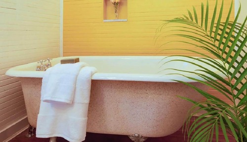 Habitación de lujo doble, baño privado (Turtles Nest)