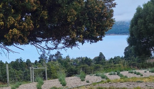 Bungalow panorámico