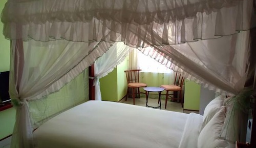 Habitación individual Deluxe, vistas al jardín