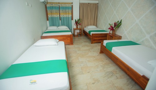 Habitación Deluxe, varias camas