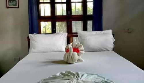 Habitación, vistas al jardín