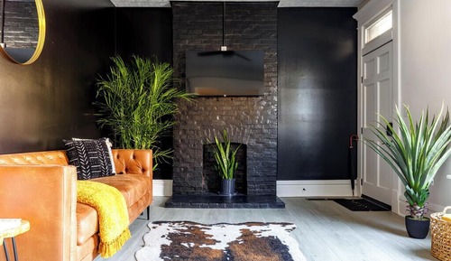 Exclusive Apartment, Pets Allowed