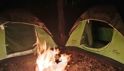 Tent, Lake View