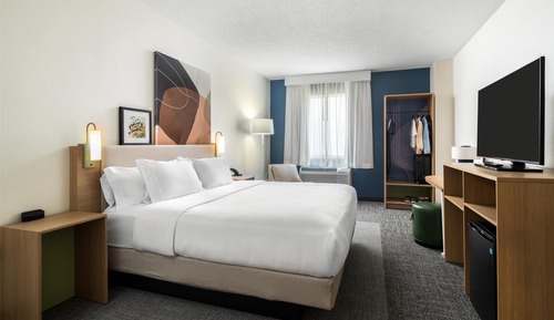 Room, 1 King Bed