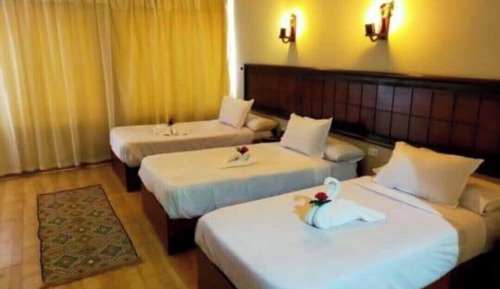 Habitación Deluxe con 1 cama doble o 2 individuales