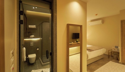 Habitación estándar con 1 cama doble o 2 individuales