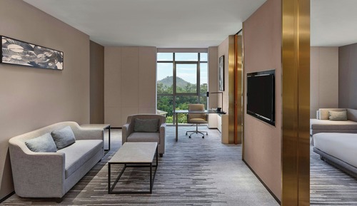 Suite ejecutiva, 1 cama de matrimonio, no fumadores