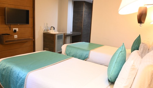 Deluxe Double or Twin Room, City View