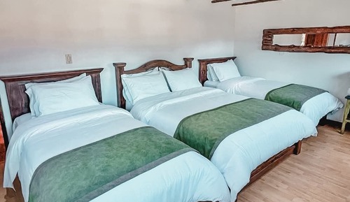 Habitación cuádruple Confort