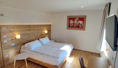 Habitación con 1 cama doble o 2 individuales, vistas a la montaña