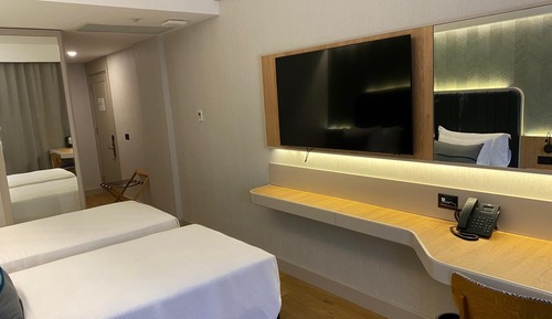 Habitación Deluxe con 2 camas individuales