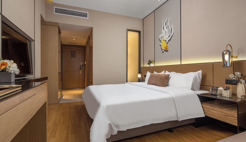 Habitación Confort, vistas a la ciudad
