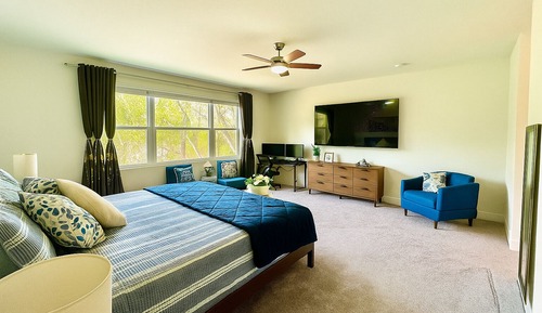 Suite, patio