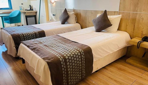 Habitación estándar con 2 camas individuales