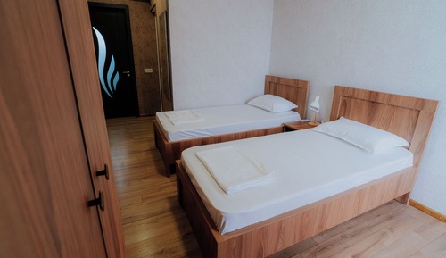 Habitación Deluxe con 2 camas individuales