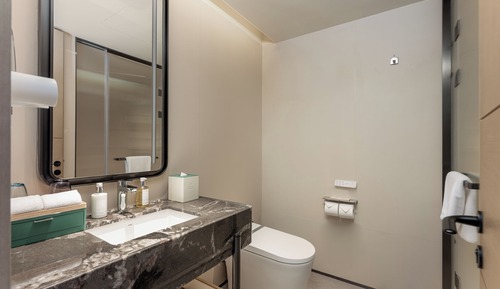 Habitación estándar, 1 cama de matrimonio grande