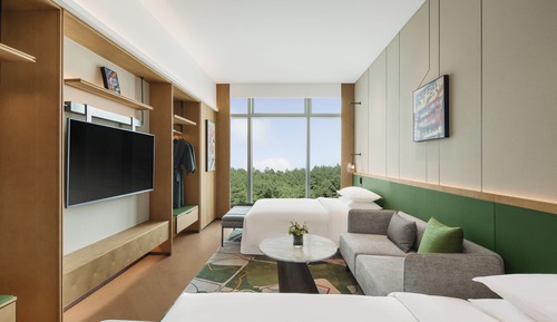 Habitación básica doble, vistas a la ciudad