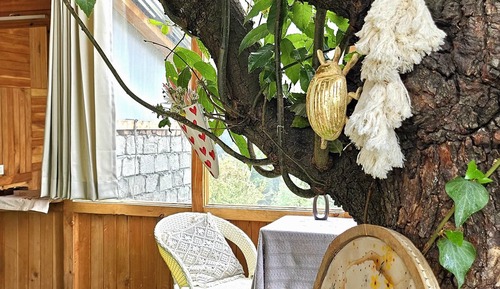 Casa en un árbol