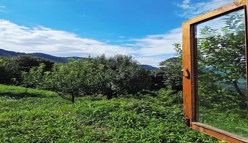 Habitación Deluxe, vistas al jardín
