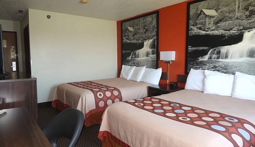 Habitación doble, 2 camas de matrimonio, no fumadores, Se admiten mascotas