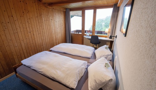 Habitación básica doble, balcón, vistas al lago