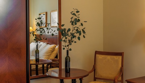 Suite Deluxe, balcón, vistas al jardín