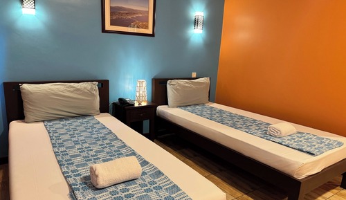 Habitación estándar con 2 camas individuales