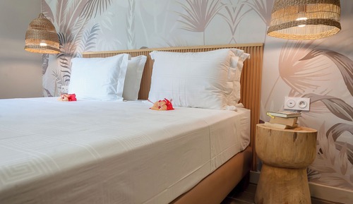 Habitación clásica con 1 cama doble o 2 individuales