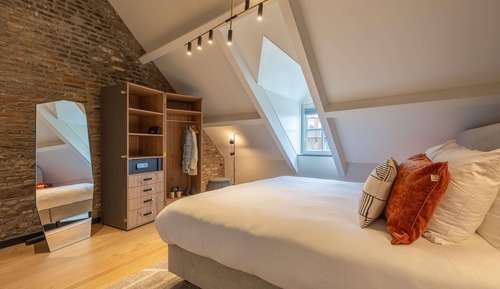 Suite ejecutiva, 1 cama de matrimonio