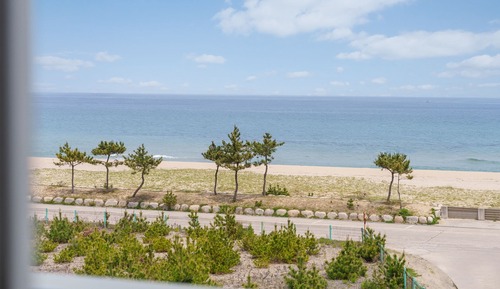 Habitación básica, 2 habitaciones (301 (Ocean View / DOGS ONLY))