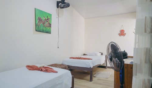 Habitación básica con 2 camas individuales, vistas al jardín