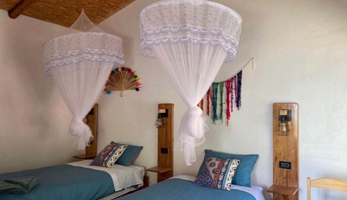 Habitación básica con 2 camas individuales, vistas al jardín