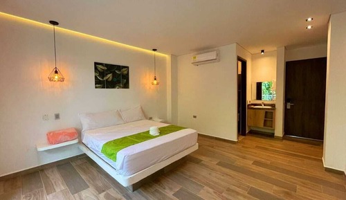 Habitación individual Deluxe, vistas al jardín