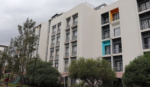 Estudio ejecutivo, vistas al jardín