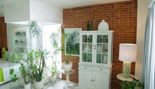 Suite Deluxe, 1 habitación