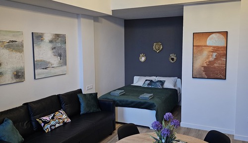 Comfort Apartment, 1 Double Bed with Sofa bed, Non Smoking, Private Bathroom