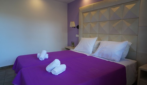 Habitación estándar con 1 cama doble o 2 individuales