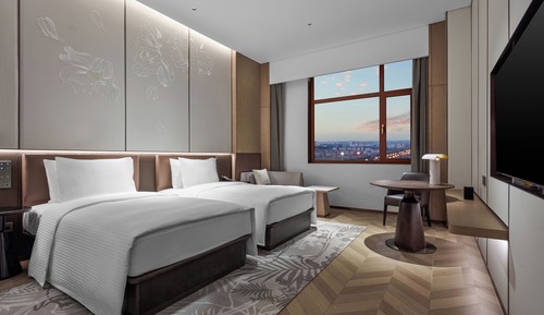 Business Double or Twin Room, Housekeeping, City View