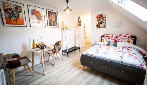 Estudio estándar, 1 cama doble, cocina