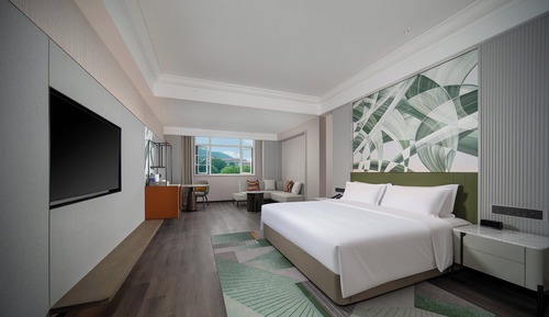 Suite estudio, 1 cama de matrimonio grande