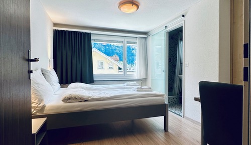 Economy Double or Twin Room, Mountain View