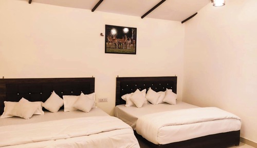 Suite estudio familiar